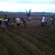 The project veterinary technician providing guidance on constructing recommended pig kraal for a No hunger group